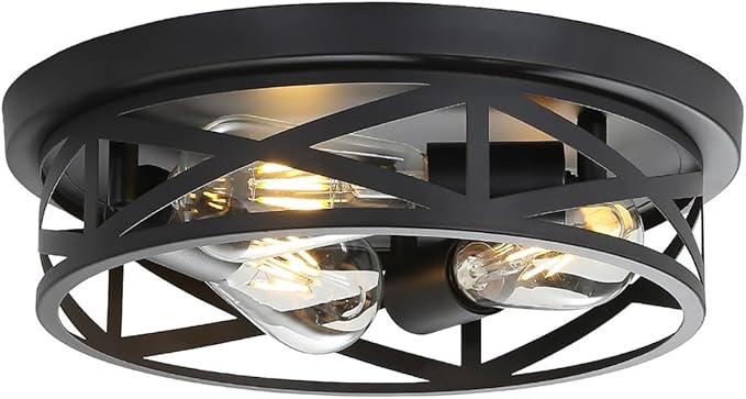 Farmhouse Cage Ceiling Light Fixtures, 3-Light Indoor Close to Ceiling Lights by Wyneyet