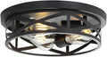 Farmhouse Cage Ceiling Light Fixtures, 3-Light Indoor Close to Ceiling Lights by Wyneyet