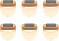 Vego garden Rippled Solar Garden Lights by VegoGarden