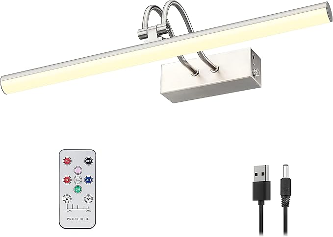 Picture Light, Picture Lights for Wall Cordless, Battery Wall Lights for by RAIFOOLLY