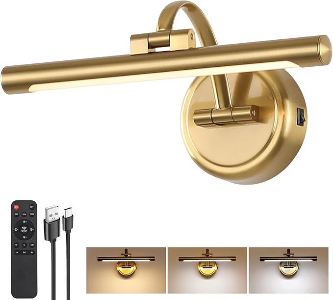 Rechargeable Picture Light for Wall, Dimmable Art Lights for Painting, Battery by Tassuowell