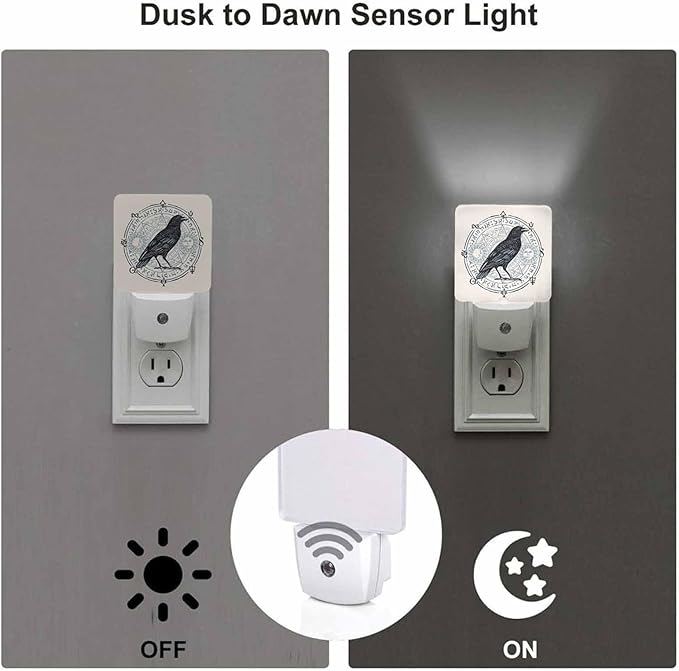 LED Night Light, Raven Octagonal Star - Image 3