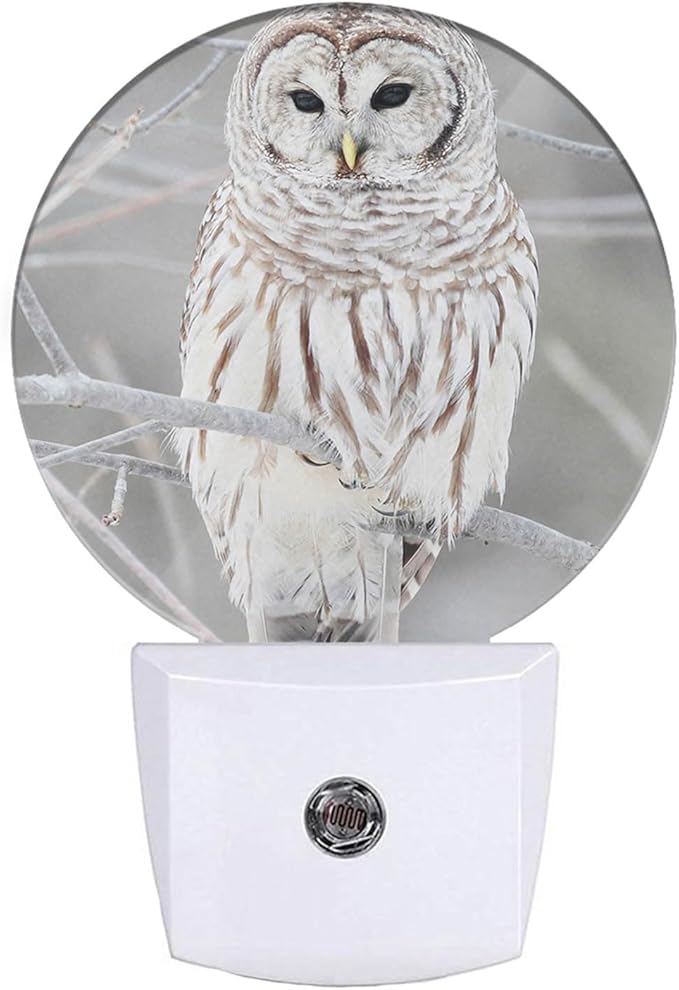 EKOBLA White Bird Plug-in Nightlights Cute Owl on Tree Branch Plug-in by EKOBLA