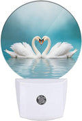 EKOBLA Swan Night Lights Plug into Wall Two Swans Over Lake LED Dusk to Dawn by EKOBLA