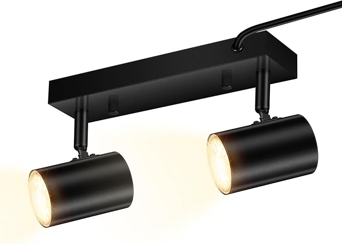 2 Light Track Lighting Kit, Industrial LED Wall Light by HOME