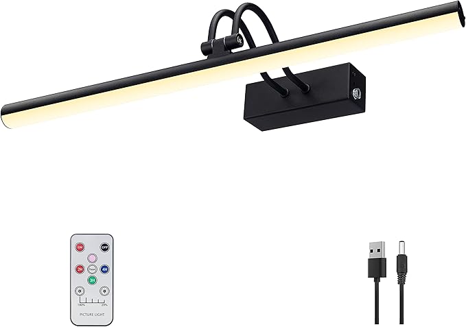 Picture Light, Picture Lights for Wall Cordless, Battery Wall Lights for by RAIFOOLLY