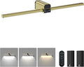 Lightbiz Picture Light for Wall 20inch, 10000mAh Rechargeable Battery Operated by BringYouWarmLightingCare