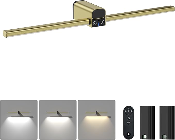 Lightbiz Picture Light for Wall 20inch, 10000mAh Rechargeable Battery Operated by BringYouWarmLightingCare