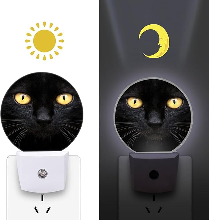 Round LED Night Light - Image 2