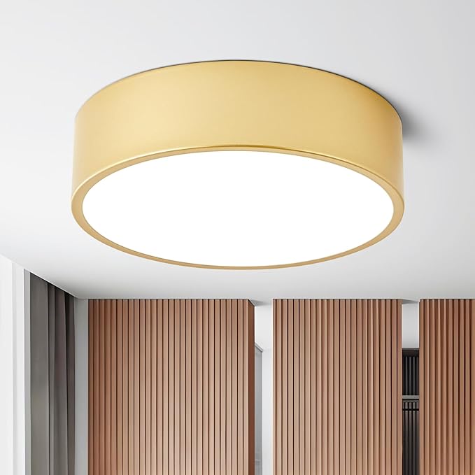Dimmable Modern Flush Mount Ceiling Light Fixture, Painted Gold Round LED by TYNCEAOL