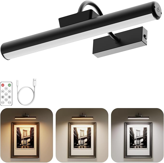 Picture Light, Wireless Picture Light by Skairipa