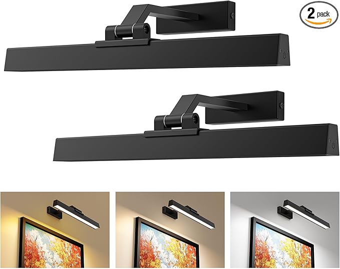 Picture Lights for Wall, Battery Operated Gallery Light 16in for Paintings CCT by Afyuol