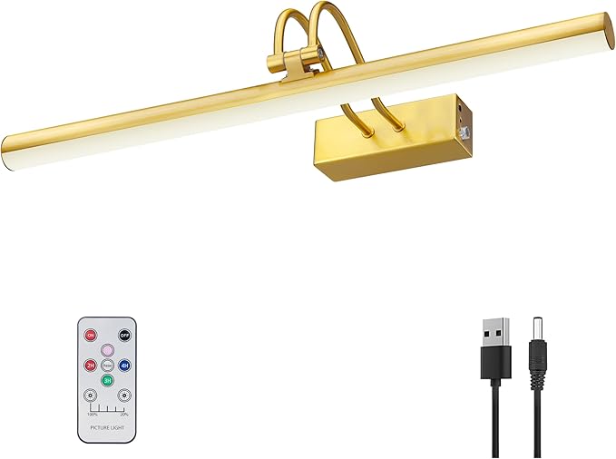 Picture Light, Picture Lights for Wall Cordless, Battery Wall Lights for by RAIFOOLLY