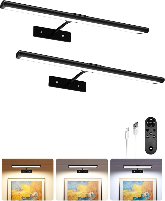 EZVALO Picture Light for Wall, Dimmable Magnetic LED Art Painting Light by EZVALO