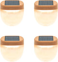 Vego garden Rippled Solar Garden Lights by VegoGarden