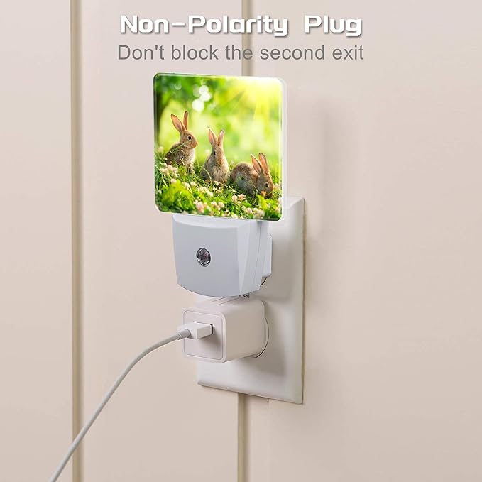 Easter Bunny in The Meadow Night Light Plug into Wall, Cute Rabbits and Spring - Image 3