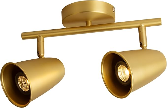 Aisilan LED 2-Light Track Lighting Fixtures Ceiling, Brushed Gold GU10 Track by AisilanLighting