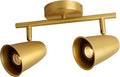 Aisilan LED 2-Light Track Lighting Fixtures Ceiling, Brushed Gold GU10 Track by AisilanLighting