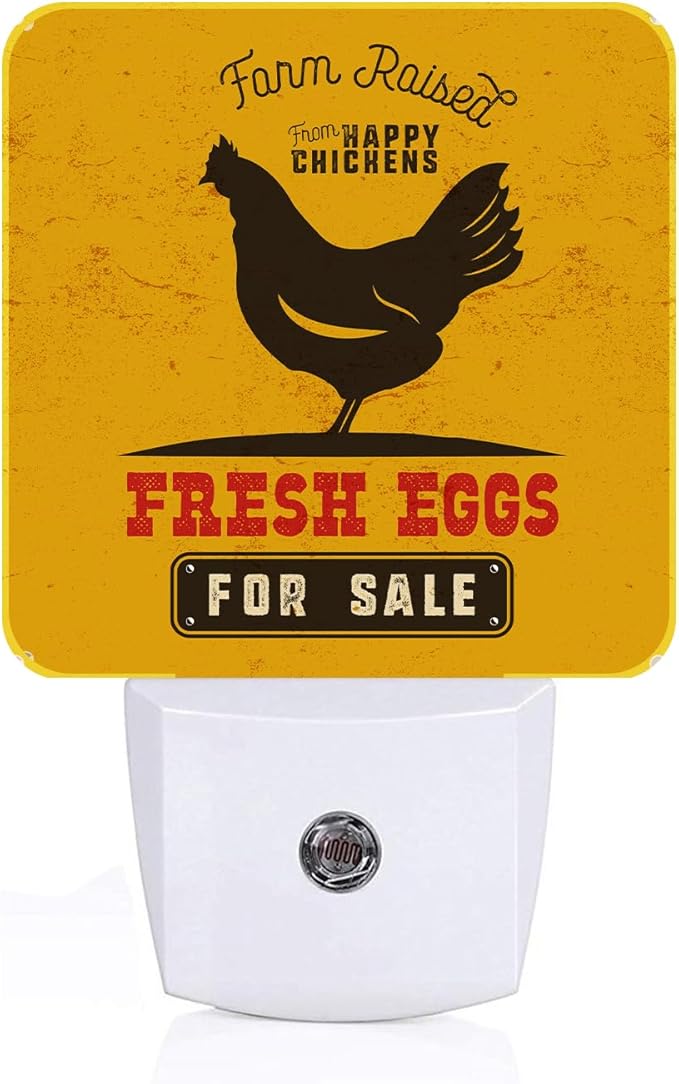 Funny Chicken Night Light, Plug Into Wall by Unknown
