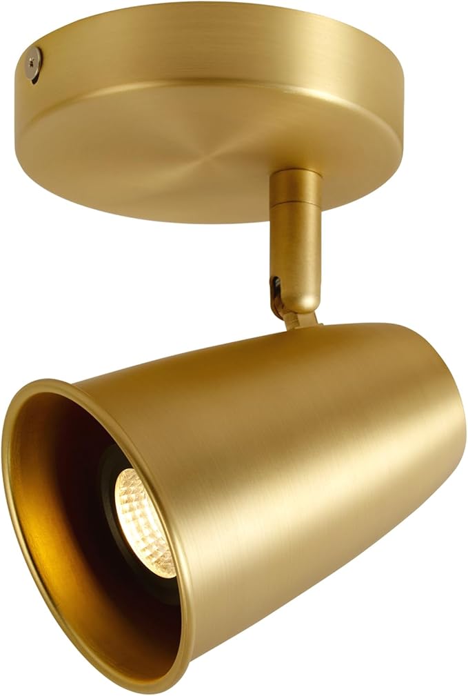 Aisilan Gold LED Ceiling Spotlight, Adjustable GU10 Surface Mount Light by AisilanLighting