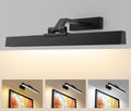 Picture Lights Wall Light 16in CCT Gallery Light | Battery Operated, Remote by Afyuol