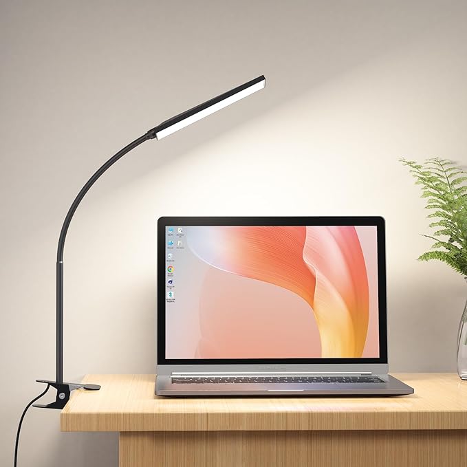 RAOYI LED Desk Lamp, 5W USB Clip on Light Eye-Caring Reading Clamp Table Lamp by RAOYI