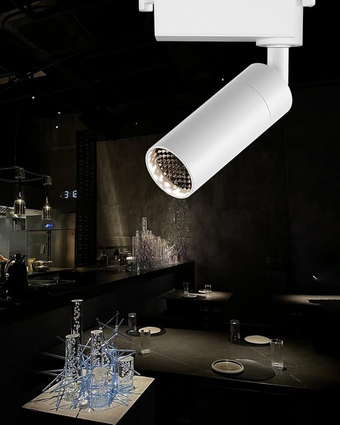 Light Fixtures, Modern LED Ceiling Spotlight, 10W Zoom Track Spotlight by Gpaillumic