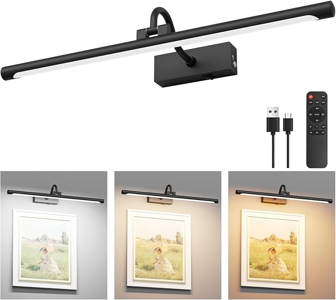 Aipsun 23.6" Black Picture Lights by Aipsun