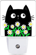 Cat Kitten Daisy Night Light, Camomile Bouquet Plug into Wall by JOPOWIDE