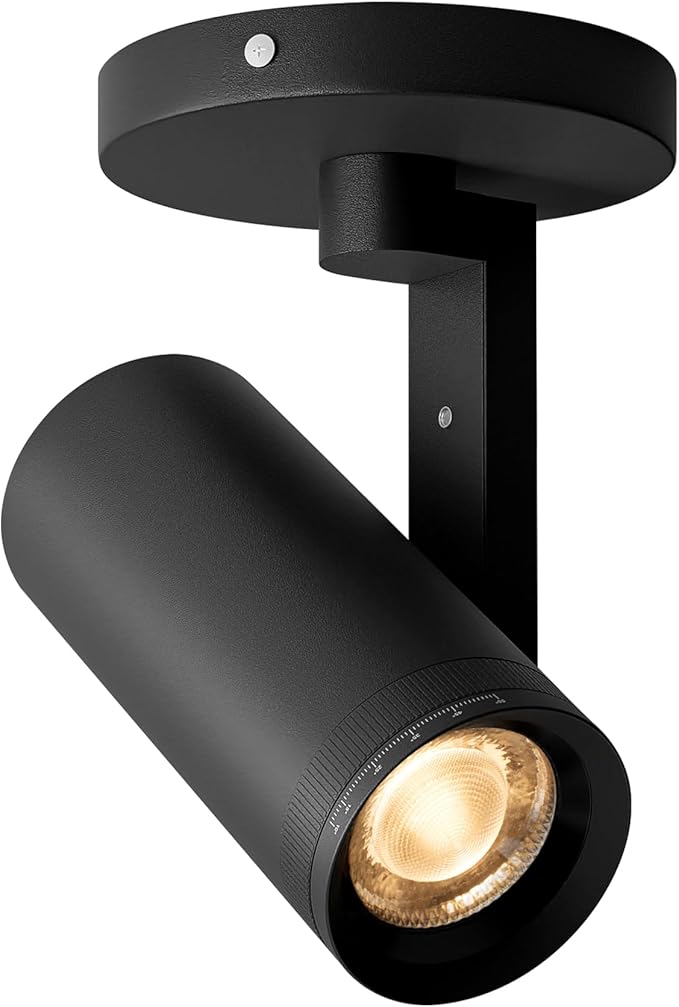 Aisilan Black LED Zoomable Ceiling Spotlight 12W Dimmable Adjustable Beam Angle by AisilanLighting