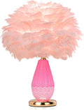 Pink Feather Lamp with Cracked Ice Glass Bottle & Gold Base, Dual Light 3 Color by LINCWONZ