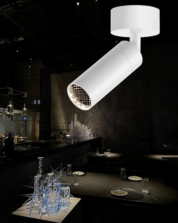 Light Fixtures, Modern LED Ceiling Spotlight, 10W Zoom Track Spotlight by Gpaillumic
