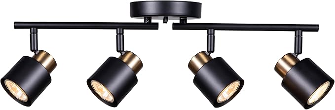 4 Light Track Lighting Kit, Matt Black Brass Finish Adjustable by CRAFTRONOS