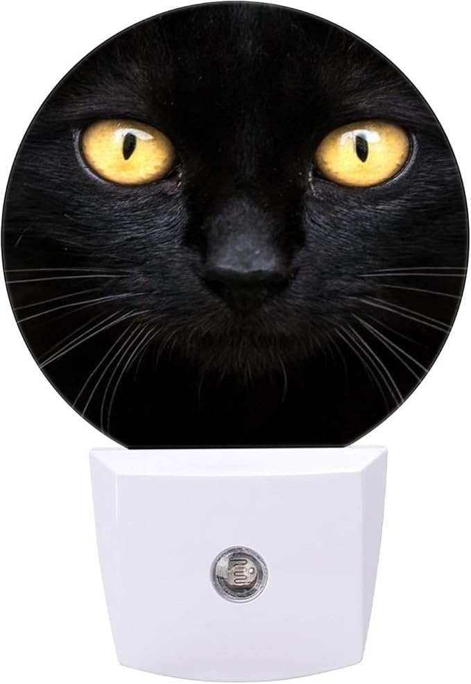 Round LED Night Light by Unknown