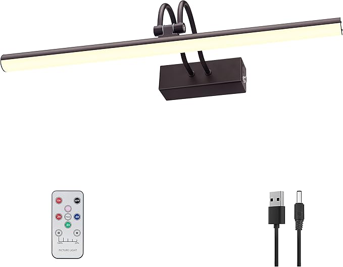Picture Light, Picture Lights for Wall Cordless, Battery Wall Lights for by RAIFOOLLY
