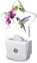 Groovy Hummingbird Flowers Plug-in Night Light by SKYDAWNY