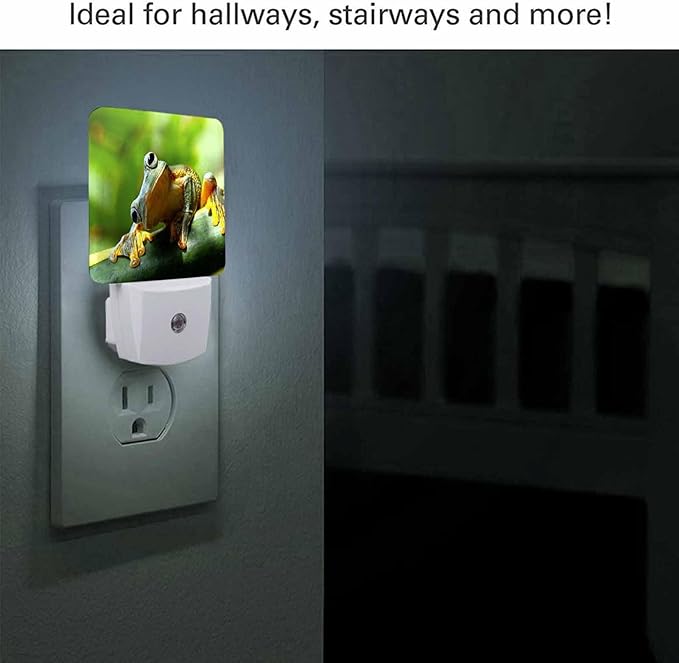LED Night Light - Image 2