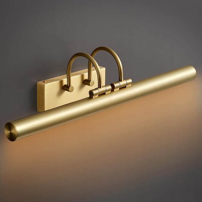 Picture Light, Art Lights Wall Sconce Hard-Wired, Artwork Poster, Photo Display by CEENWE