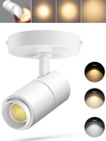 VANoopee 3-Color Zoomable Ceiling Spot Lights Indoor Flush Mount Adjustable LED by VANoopee