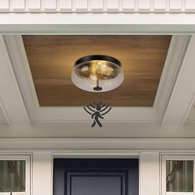 Motion Sensor Outdoor Ceiling Light, Energy Efficient by RosientLighting