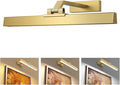 Picture Lights for Wall, Brushed Gold Battery Operated Picture Light 16in Art by Afyuol