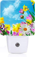 Yellow Petunias and White Sunflower Night Light, Plug-in Nightlights Auto by Unknown