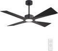 WINGBO 64" Wet Rated Outdoor Ceiling Fan by HomePage