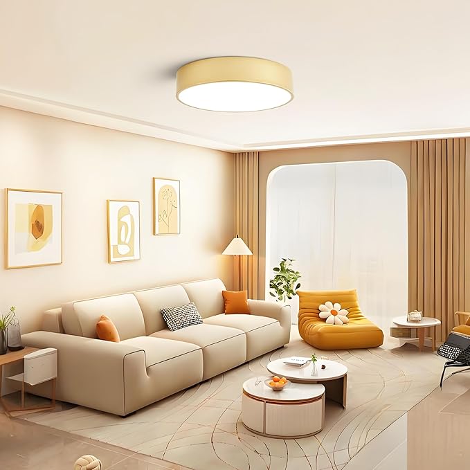 Dimmable Modern Large Flush Mount Close to Ceiling Light Fixture, Round Painted - Image 6