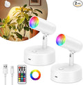 Lightess RGBW Uplights Indoor Spotlight by LIGHTESS
