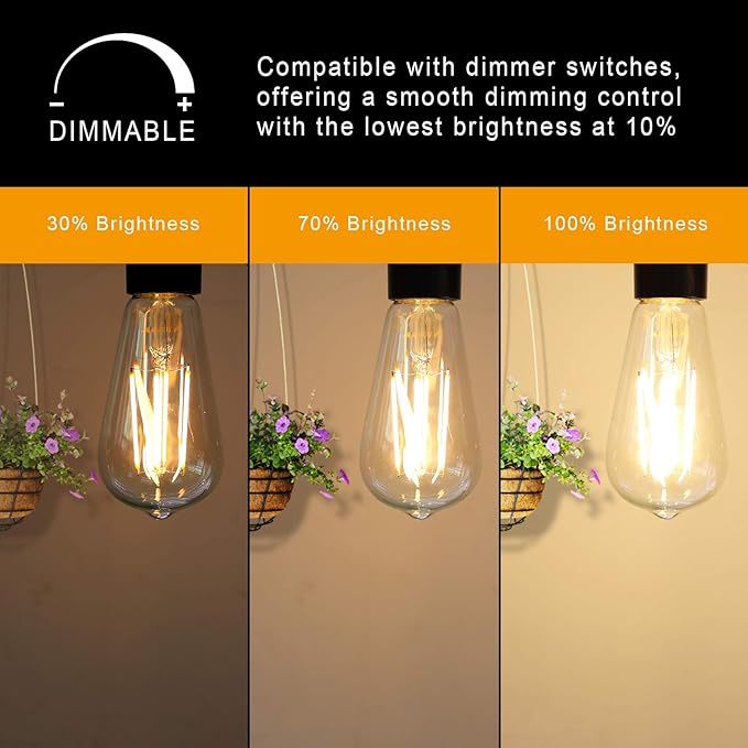 Ascher Dimmable Vintage LED Edison Bulbs, Equivalent 60W, 700 Lumens, 80+ CRI - Image 3