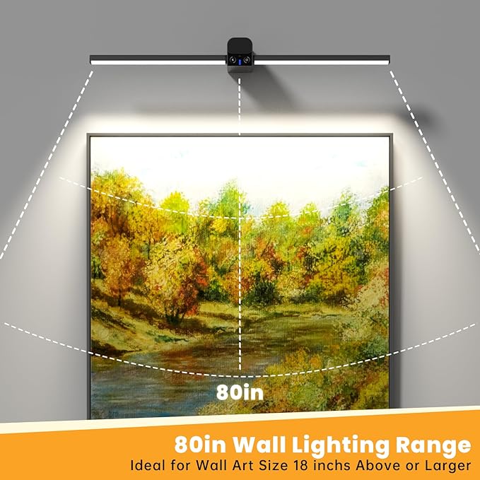 Lightbiz Picture Light for Wall 20inch, 10000mAh Rechargeable Battery Operated - Image 2