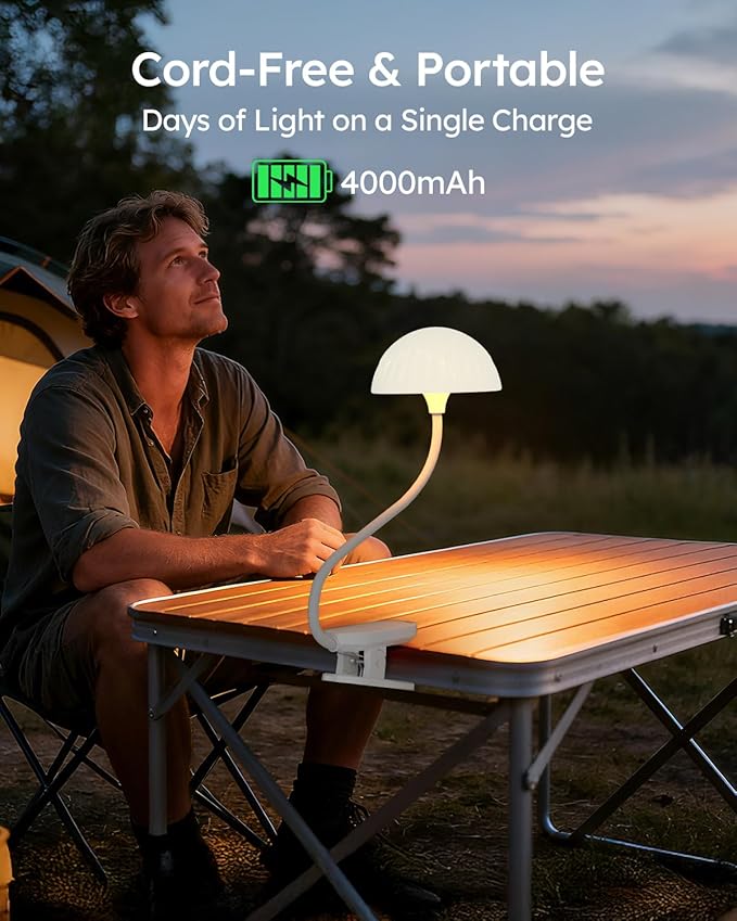 Rechargeable Clip On Lamp, Cordless Touch Control Desk Lamp - Image 5