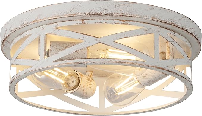 3-Light Cage Ceiling Light Fixtures, Indoor Modern Close to Ceiling Lights by Wyneyet