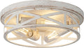 3-Light Cage Ceiling Light Fixtures, Indoor Modern Close to Ceiling Lights by Wyneyet